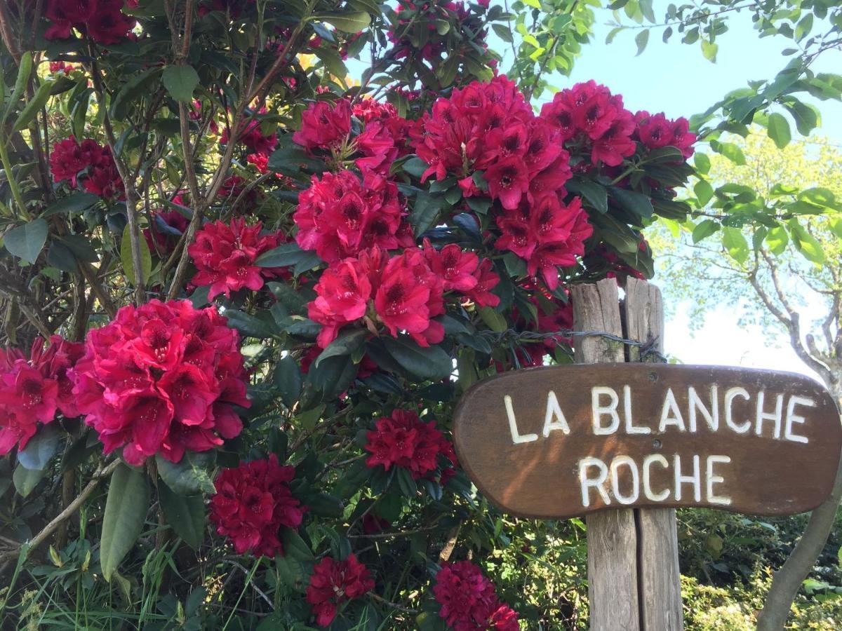 La Blanche Roche Panzió Sourdeval Kültér fotó